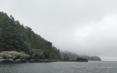 Spirit Orcas Complete Another Unprecedented Relay